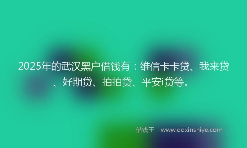 2025年的武汉黑户借钱有：维信卡卡贷、我来贷、好期贷、拍拍贷、平安i贷等。