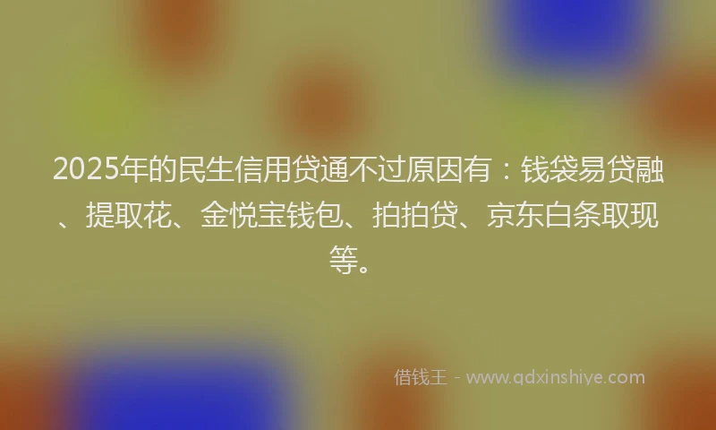 2025年的民生信用贷通不过原因有：钱袋易贷融、提取花、金悦宝钱包、拍拍贷、京东白条取现等。