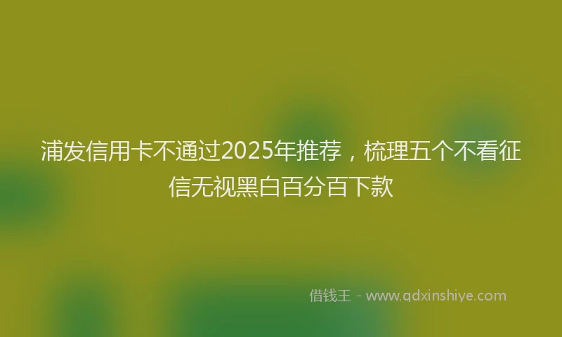浦发信用卡不通过2025年推荐，梳理五个不看征信无视黑白百分百下款