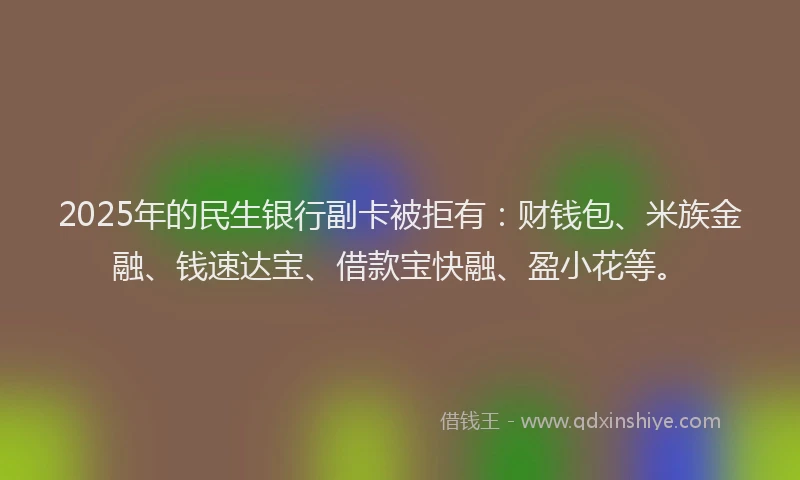 2025年的民生银行副卡被拒有：财钱包、米族金融、钱速达宝、借款宝快融、盈小花等。