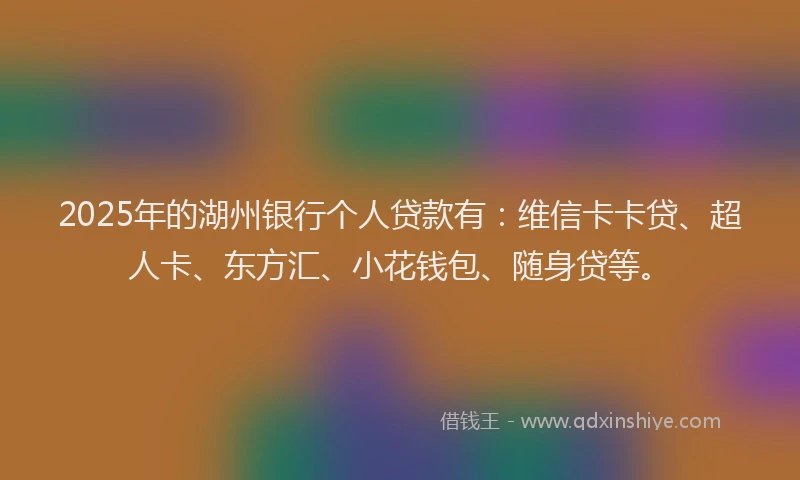 2025年的湖州银行个人贷款有：维信卡卡贷、超人卡、东方汇、小花钱包、随身贷等。