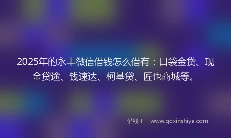 2025年的永丰微信借钱怎么借有：口袋金贷、现金贷途、钱速达、柯基贷、匠也商城等。