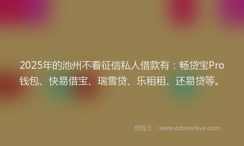 2025年的池州不看征信私人借款有：畅贷宝Pro钱包、快易借宝、瑞雪贷、乐租租、还易贷等。