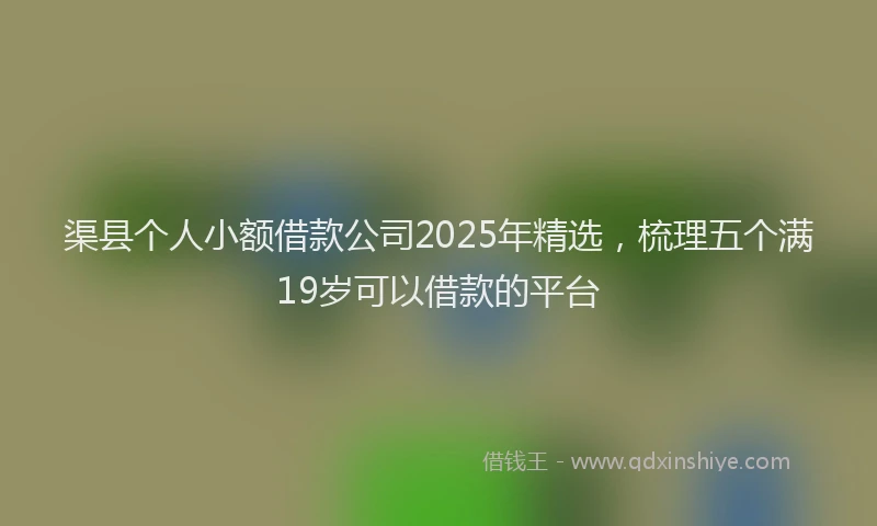 渠县个人小额借款公司2025年精选，梳理五个满19岁可以借款的平台