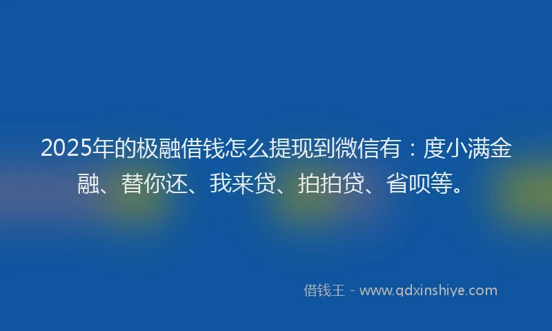2025年的极融借钱怎么提现到微信有：度小满金融、替你还、我来贷、拍拍贷、省呗等。