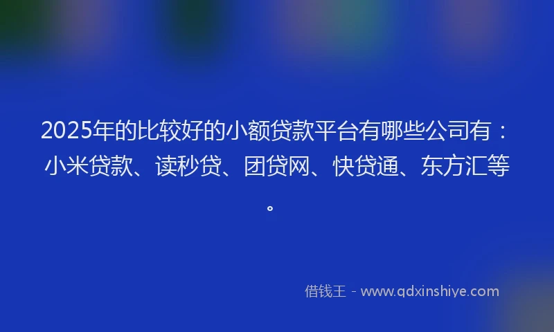 2025年的比较好的小额贷款平台有哪些公司有：小米贷款、读秒贷、团贷网、快贷通、东方汇等。