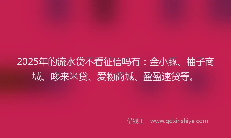 2025年的流水贷不看征信吗有：金小豚、柚子商城、哆来米贷、爱物商城、盈盈速贷等。