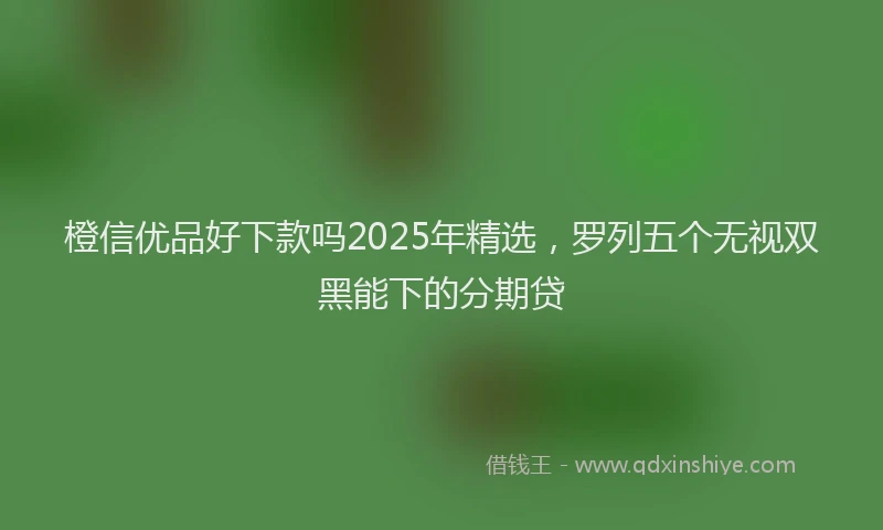 橙信优品好下款吗2025年精选，罗列五个无视双黑能下的分期贷
