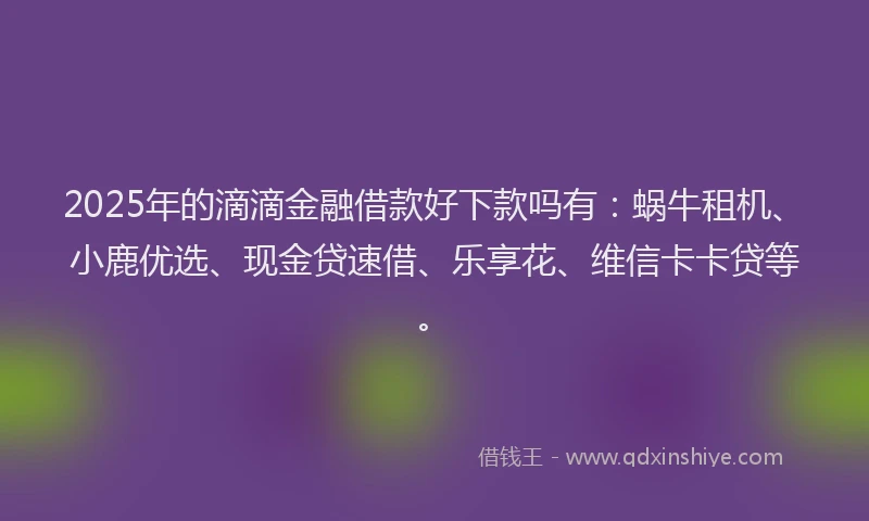 2025年的滴滴金融借款好下款吗有：蜗牛租机、小鹿优选、现金贷速借、乐享花、维信卡卡贷等。