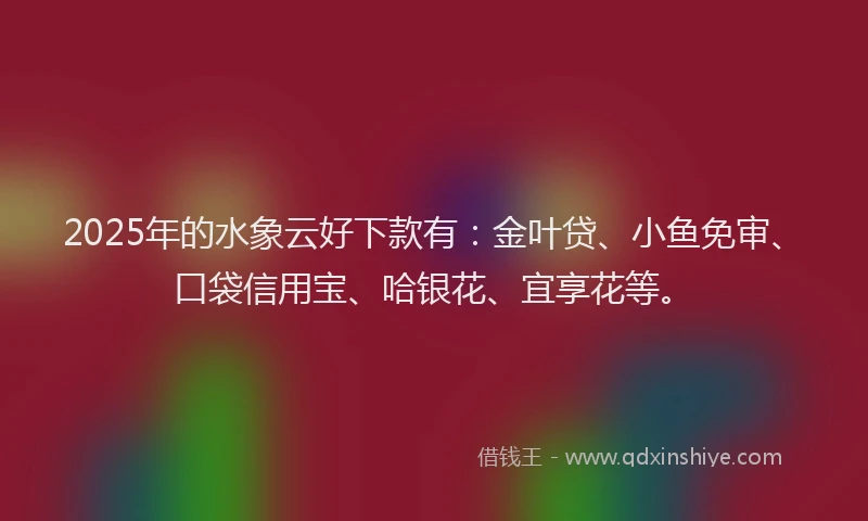 2025年的水象云好下款有：金叶贷、小鱼免审、口袋信用宝、哈银花、宜享花等。
