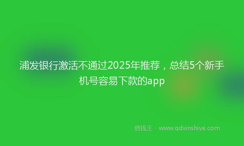 浦发银行激活不通过2025年推荐，总结5个新手机号容易下款的app