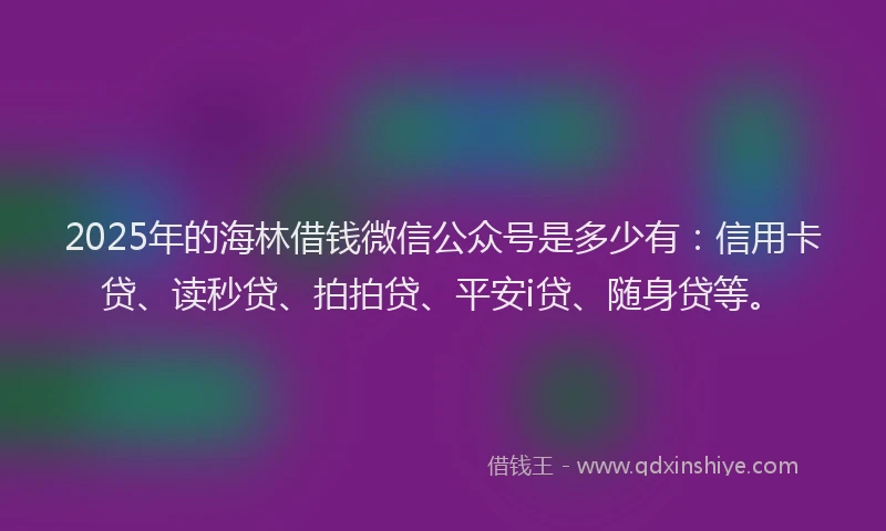 2025年的海林借钱微信公众号是多少有：信用卡贷、读秒贷、拍拍贷、平安i贷、随身贷等。