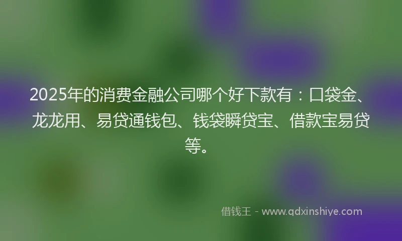 2025年的消费金融公司哪个好下款有：口袋金、龙龙用、易贷通钱包、钱袋瞬贷宝、借款宝易贷等。
