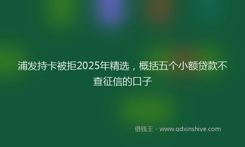 浦发持卡被拒2025年精选，概括五个小额贷款不查征信的口子