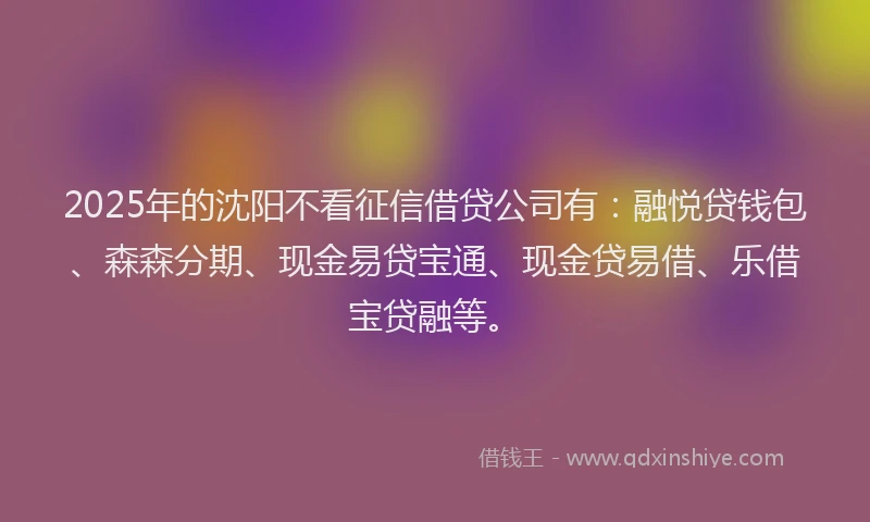 2025年的沈阳不看征信借贷公司有：融悦贷钱包、森森分期、现金易贷宝通、现金贷易借、乐借宝贷融等。
