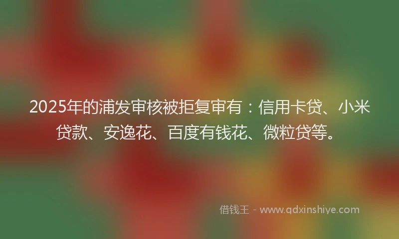 2025年的浦发审核被拒复审有：信用卡贷、小米贷款、安逸花、百度有钱花、微粒贷等。