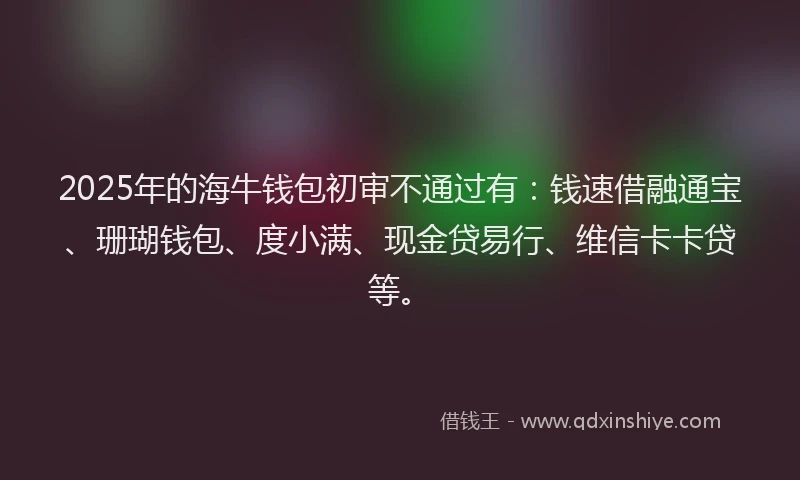 2025年的海牛钱包初审不通过有：钱速借融通宝、珊瑚钱包、度小满、现金贷易行、维信卡卡贷等。