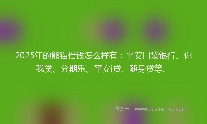 2025年的熊猫借钱怎么样有：平安口袋银行、你我贷、分期乐、平安i贷、随身贷等。
