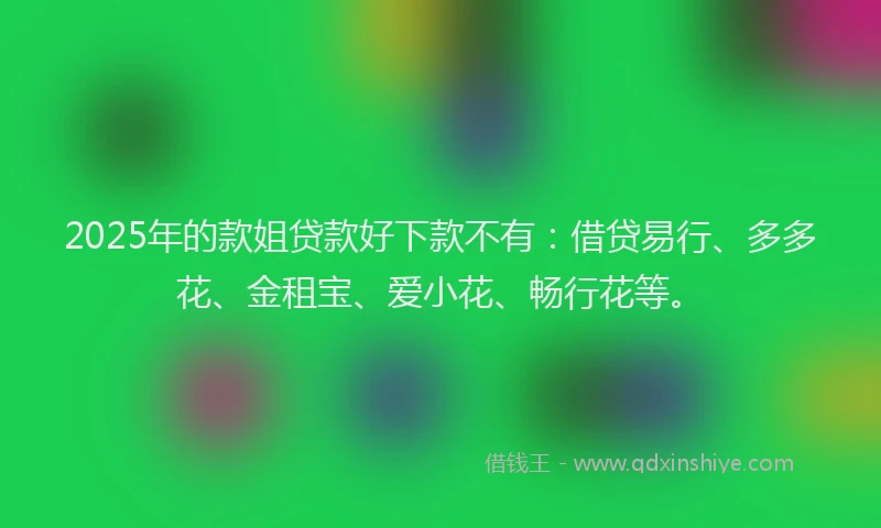 2025年的款姐贷款好下款不有：借贷易行、多多花、金租宝、爱小花、畅行花等。