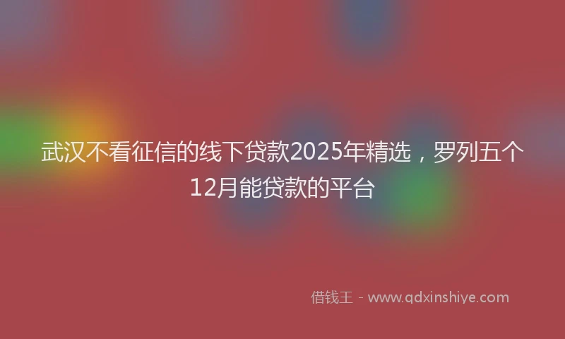 武汉不看征信的线下贷款2025年精选，罗列五个12月能贷款的平台