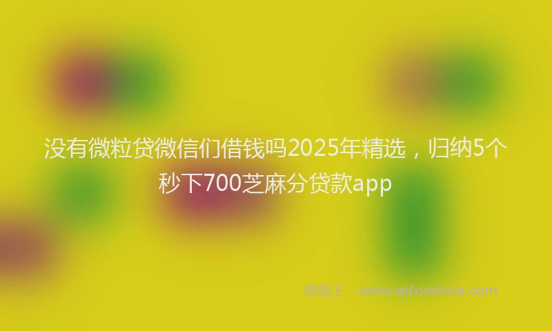 没有微粒贷微信们借钱吗2025年精选，归纳5个秒下700芝麻分贷款app