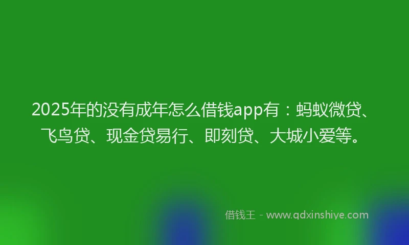2025年的没有成年怎么借钱app有：蚂蚁微贷、飞鸟贷、现金贷易行、即刻贷、大城小爱等。