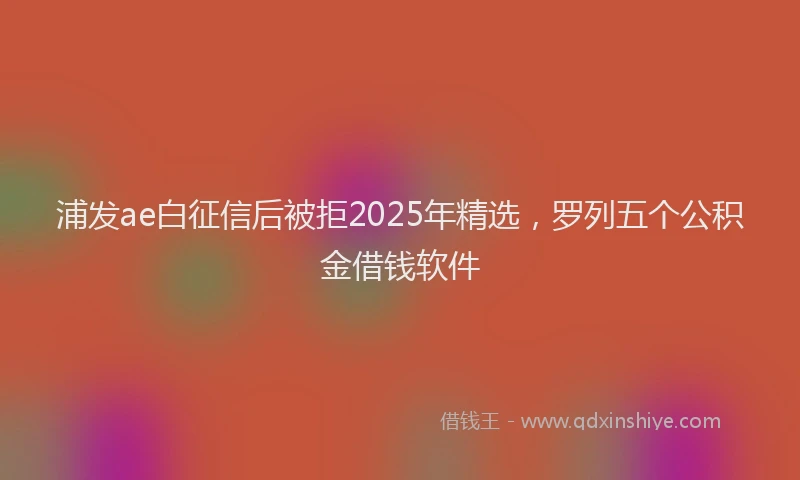 浦发ae白征信后被拒2025年精选，罗列五个公积金借钱软件