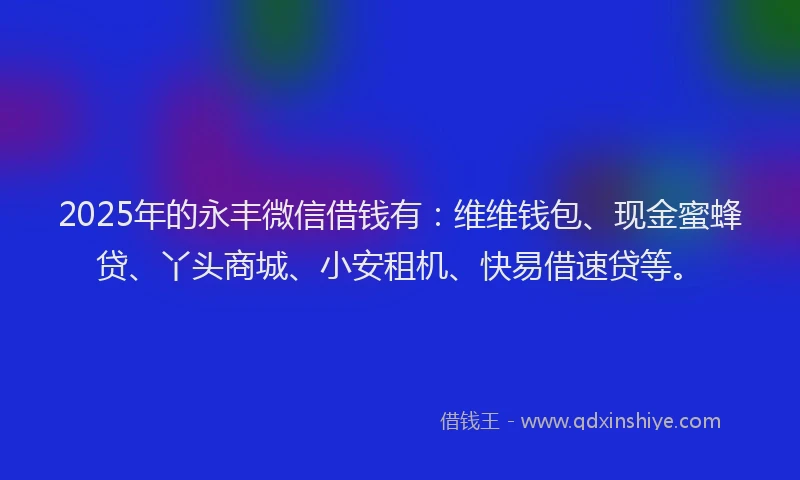 2025年的永丰微信借钱有：维维钱包、现金蜜蜂贷、丫头商城、小安租机、快易借速贷等。