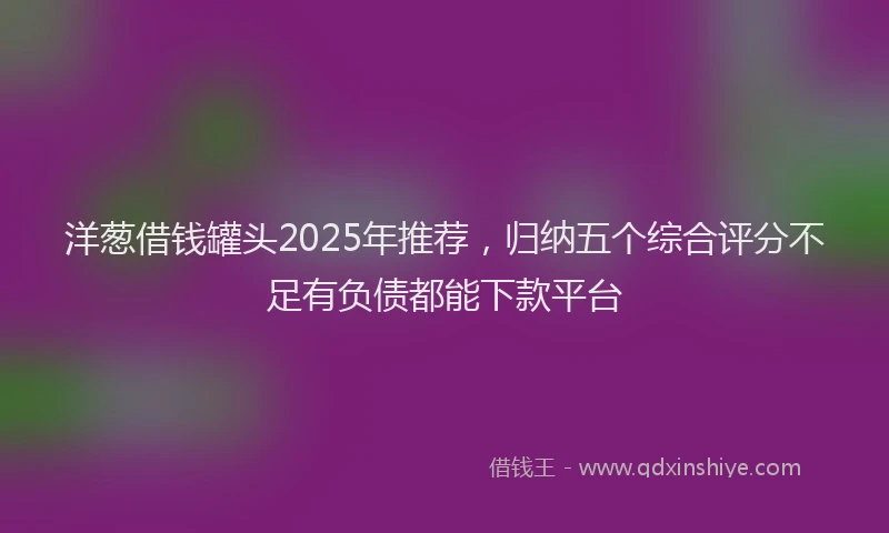 洋葱借钱罐头2025年推荐，归纳五个综合评分不足有负债都能下款平台