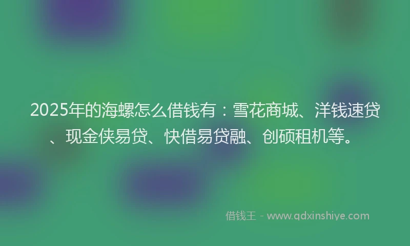 2025年的海螺怎么借钱有：雪花商城、洋钱速贷、现金侠易贷、快借易贷融、创硕租机等。