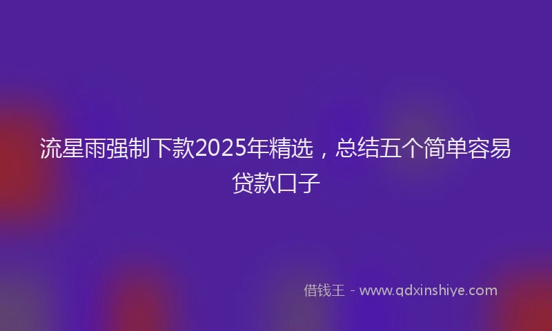流星雨强制下款2025年精选，总结五个简单容易贷款口子