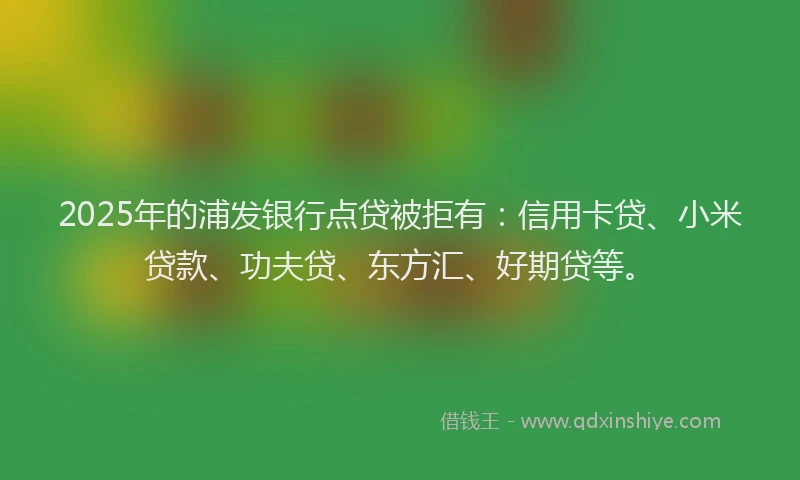 2025年的浦发银行点贷被拒有：信用卡贷、小米贷款、功夫贷、东方汇、好期贷等。