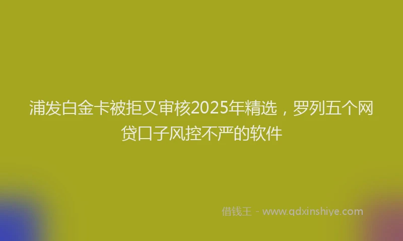 浦发白金卡被拒又审核2025年精选，罗列五个网贷口子风控不严的软件