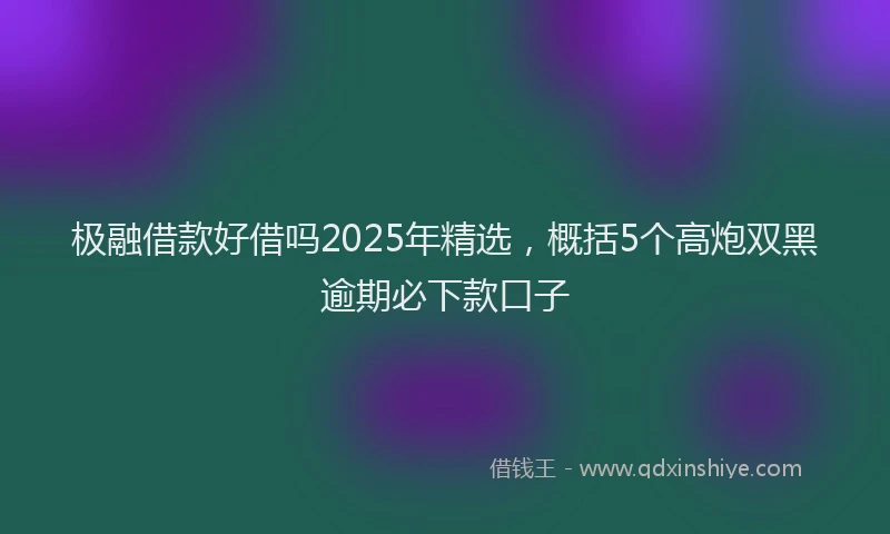极融借款好借吗2025年精选，概括5个高炮双黑逾期必下款口子