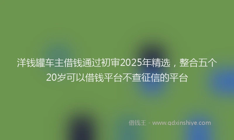 洋钱罐车主借钱通过初审2025年精选，整合五个20岁可以借钱平台不查征信的平台