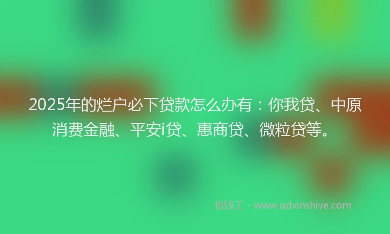 2025年的烂户必下贷款怎么办有：你我贷、中原消费金融、平安i贷、惠商贷、微粒贷等。