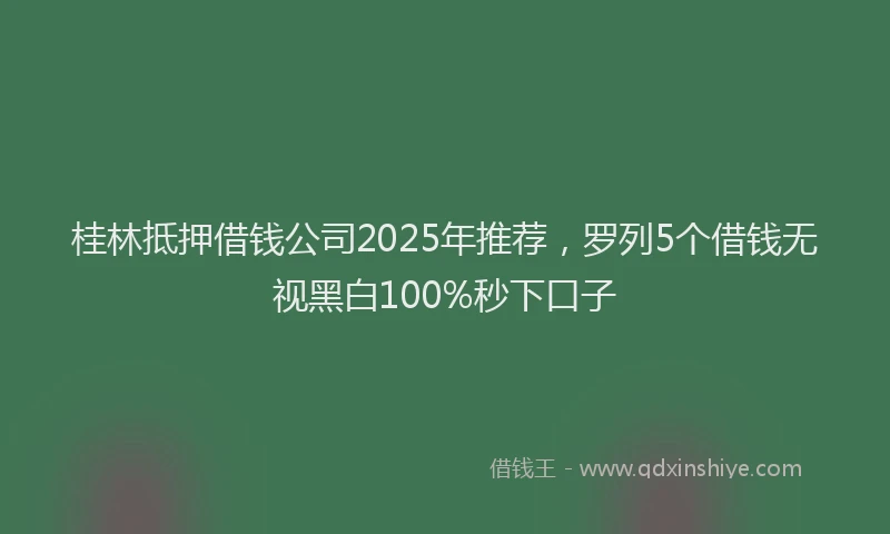 桂林抵押借钱公司2025年推荐，罗列5个借钱无视黑白100%秒下口子