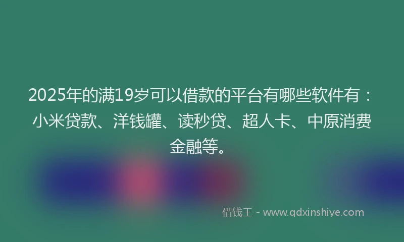 2025年的满19岁可以借款的平台有哪些软件有：小米贷款、洋钱罐、读秒贷、超人卡、中原消费金融等。