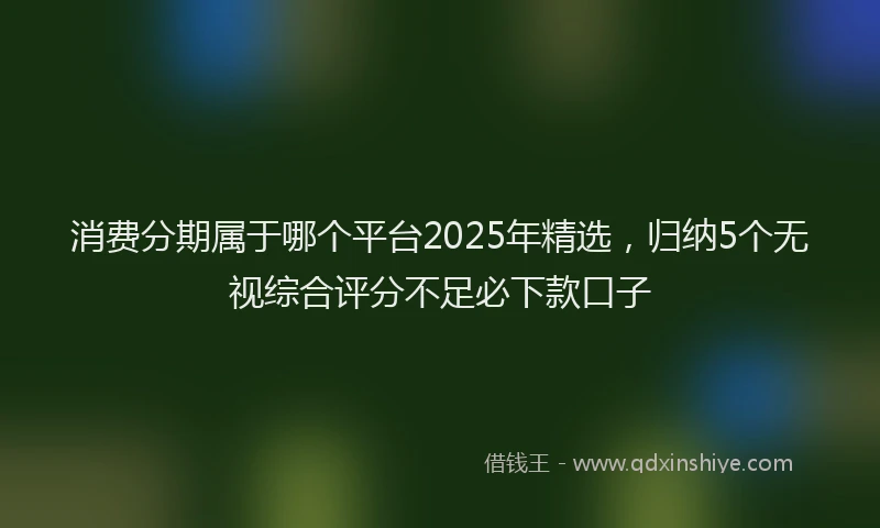 消费分期属于哪个平台2025年精选，归纳5个无视综合评分不足必下款口子