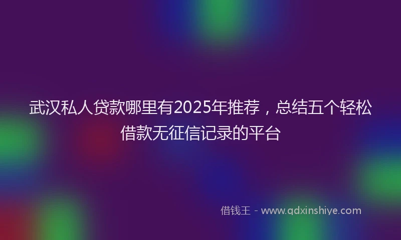 武汉私人贷款哪里有2025年推荐，总结五个轻松借款无征信记录的平台