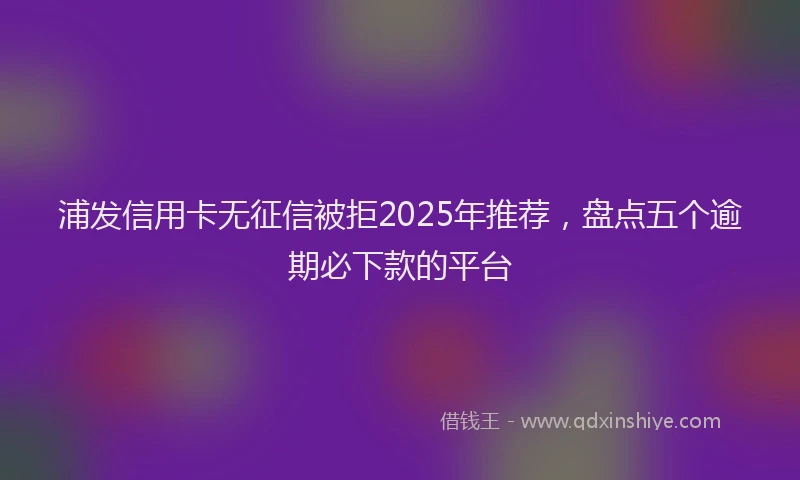 浦发信用卡无征信被拒2025年推荐，盘点五个逾期必下款的平台