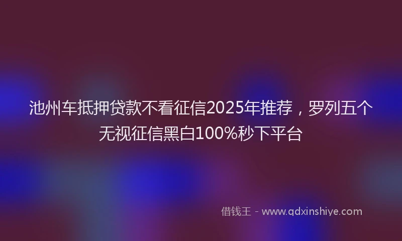 池州车抵押贷款不看征信2025年推荐，罗列五个无视征信黑白100%秒下平台