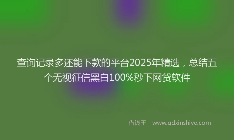 查询记录多还能下款的平台2025年精选，总结五个无视征信黑白100%秒下网贷软件