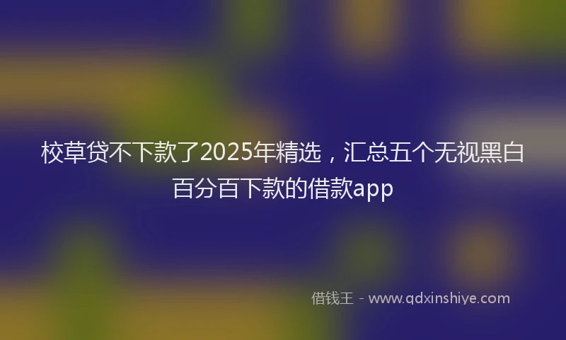 校草贷不下款了2025年精选，汇总五个无视黑白百分百下款的借款app