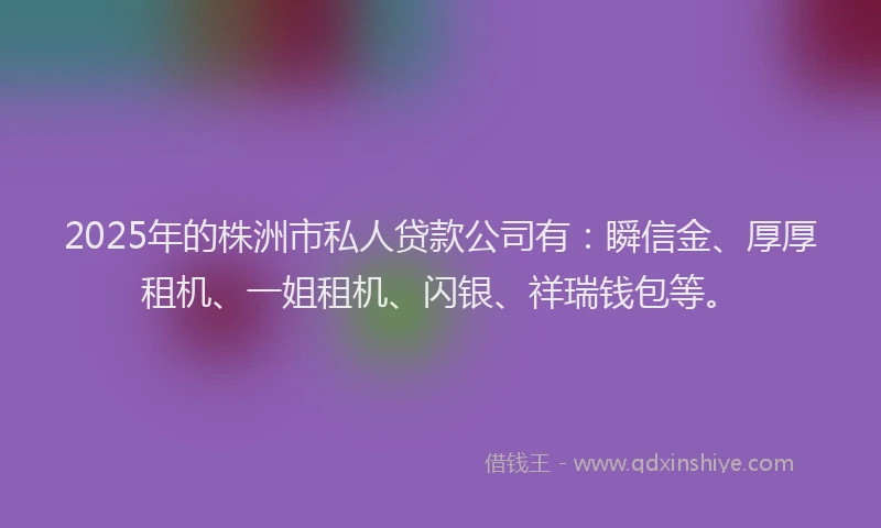 2025年的株洲市私人贷款公司有：瞬信金、厚厚租机、一姐租机、闪银、祥瑞钱包等。