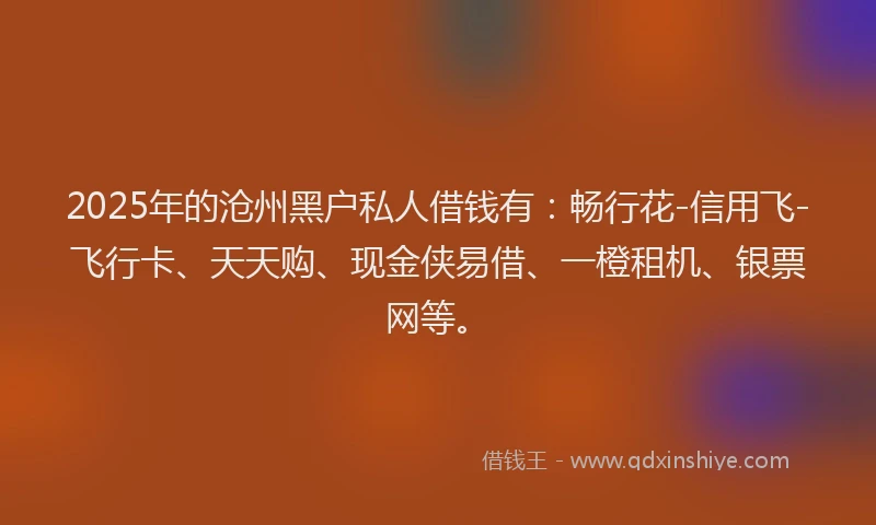2025年的沧州黑户私人借钱有：畅行花-信用飞-飞行卡、天天购、现金侠易借、一橙租机、银票网等。