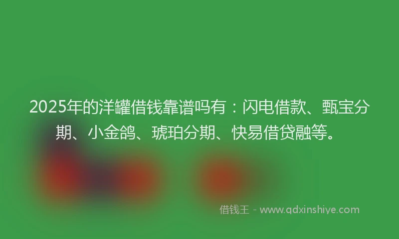 2025年的洋罐借钱靠谱吗有：闪电借款、甄宝分期、小金鸽、琥珀分期、快易借贷融等。