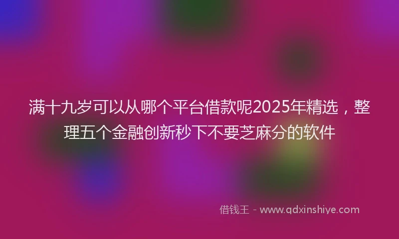 满十九岁可以从哪个平台借款呢2025年精选，整理五个金融创新秒下不要芝麻分的软件
