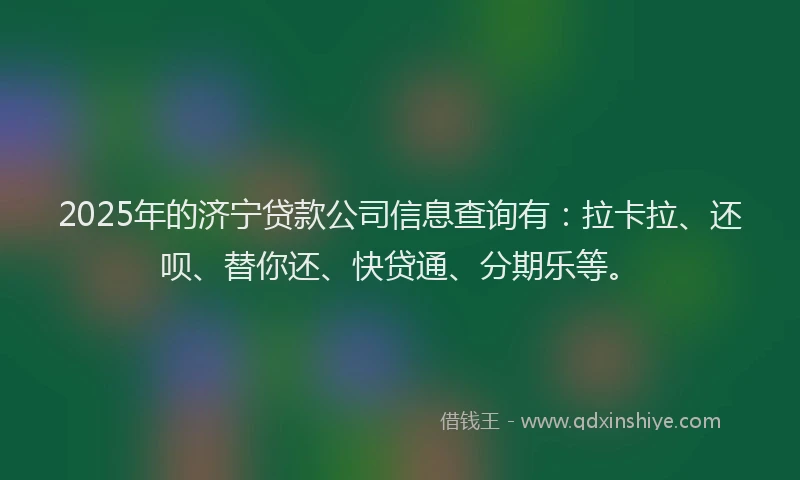 2025年的济宁贷款公司信息查询有：拉卡拉、还呗、替你还、快贷通、分期乐等。