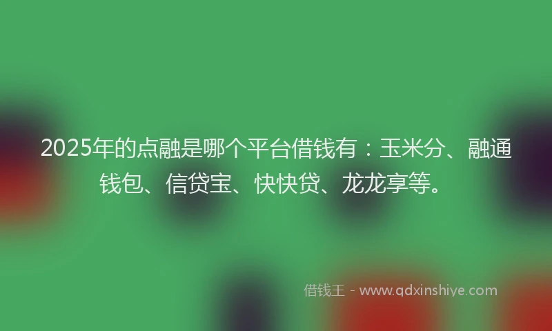 2025年的点融是哪个平台借钱有：玉米分、融通钱包、信贷宝、快快贷、龙龙享等。
